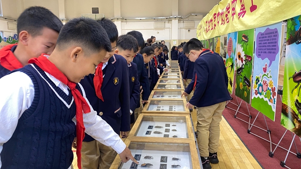 闭馆不闭展，文化不打烊——线下线上新体验带你嗨转龙博